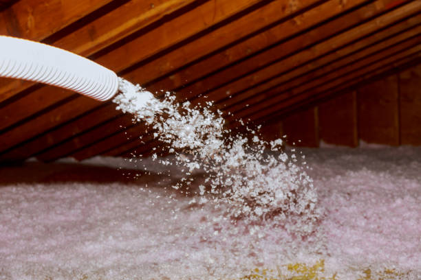 Best Insulation Inspection Services  in Cocoa West, FL
