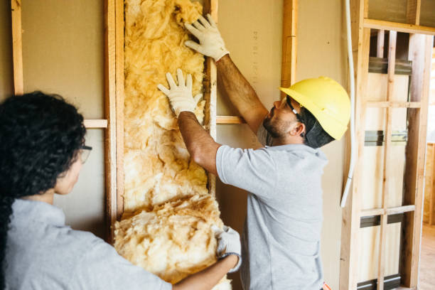 Best Professional Insulation Contractor  in Cocoa West, FL