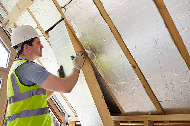 Best Fiberglass Insulation  in Cocoa West, FL
