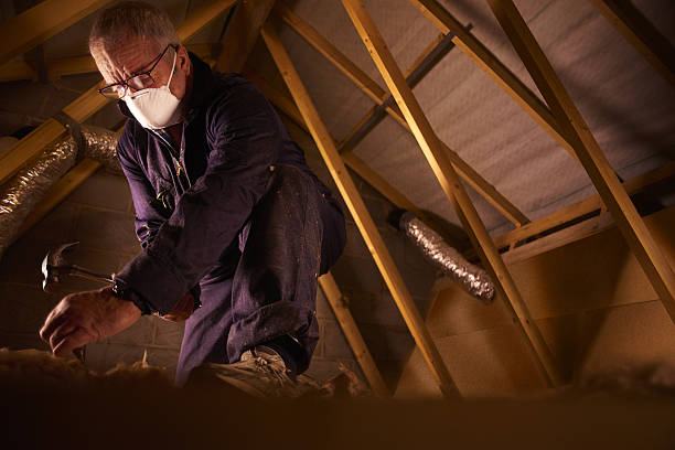 Best Residential Insulation Services  in Cocoa West, FL